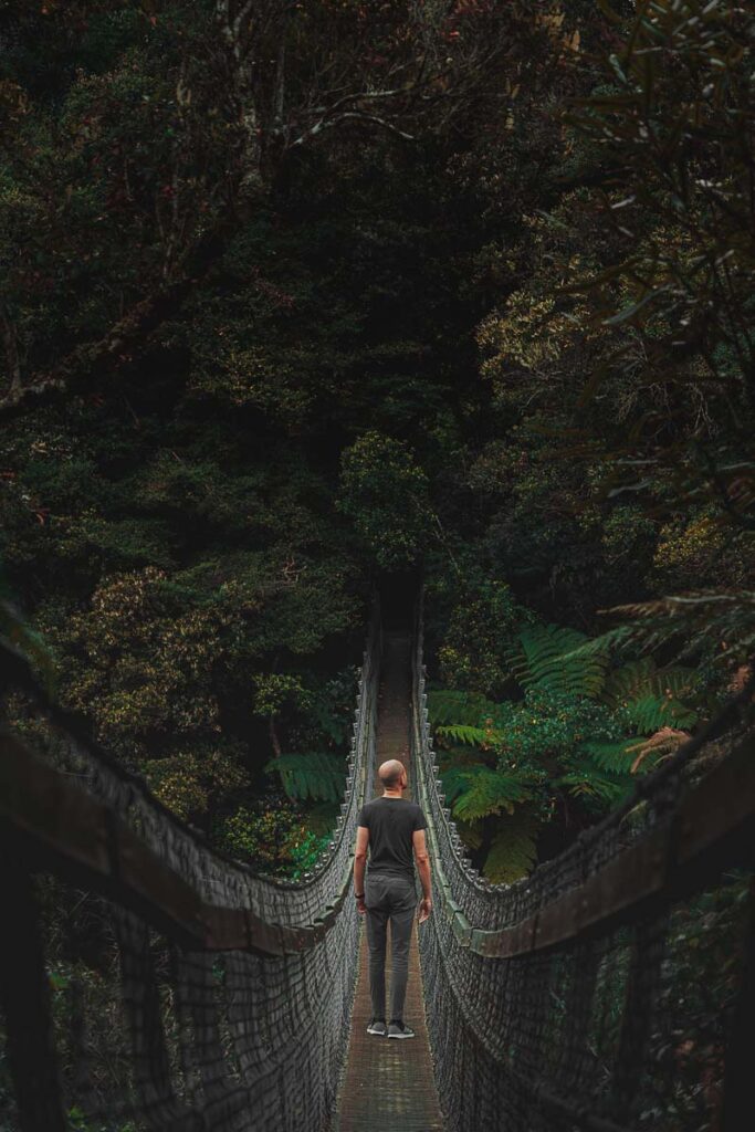 Sur un pont de singe dans un parc national néo-zélandais